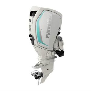 rotax outboard